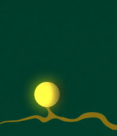 Animation showing tap root development