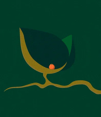 Animation showing tap root development