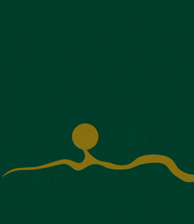 Animation showing tap root development