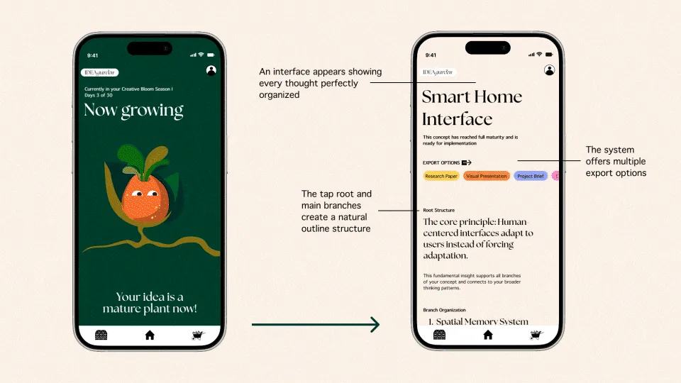 Animation showing tap root development
